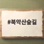 북악산숲길 58년 만에 전면 개방된 이유와 관람 정보 북악산숲길