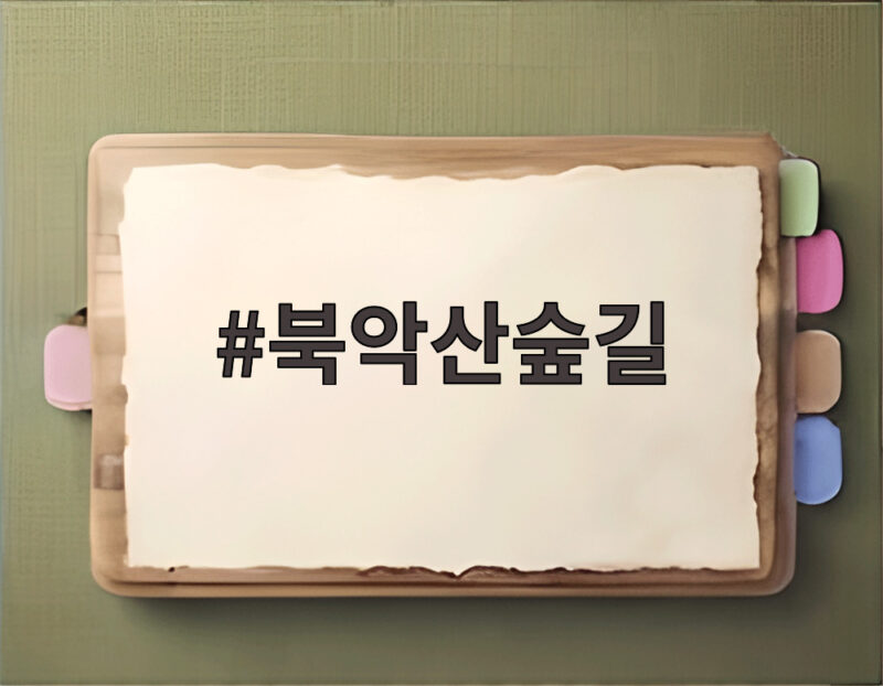북악산숲길 58년 만에 전면 개방된 이유와 관람 정보 1 북악산숲길