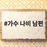 가수 나비 남편 조성환과 둘째 출산 후 무대 복귀 이야기 가수 나비 남편