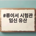 류이서 시험관 임신 유산 아픔 속에서도 재도전 의지 류이서 시험관 임신 유산