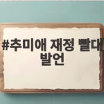 추미애 재정 빨대 발언으로 살펴본 소방 예산의 문제 추미애 재정 빨대 발언