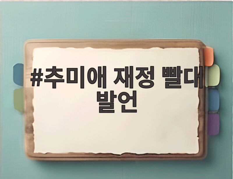 추미애 재정 빨대 발언으로 살펴본 소방 예산의 문제 1 추미애 재정 빨대 발언