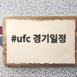 ufc 경기일정 오늘 한국 선수 출전과 챔피언전 미리 보기 ufc 경기일정
