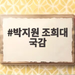 박지원 조희대 국감 사법부 독립 두고 벌어진 여야 격돌 박지원 조희대 국감