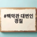 백악관 대변인 경질 닷새 만에 무슨 일이 있었나 백악관 대변인 경질