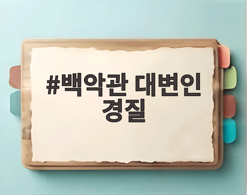 백악관 대변인 경질