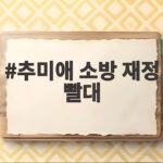 추미애 소방 재정 빨대