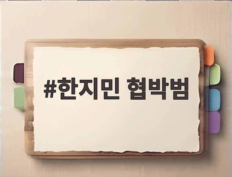 한지민 협박범 최정훈 스토커와 동일인 벌금 1100만원 충격 1 한지민 협박범