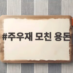 주우재 모친 용돈