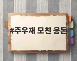 주우재 모친 용돈