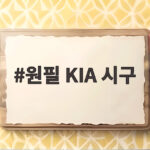 원필 KIA 시구