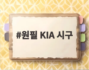 원필 KIA 시구