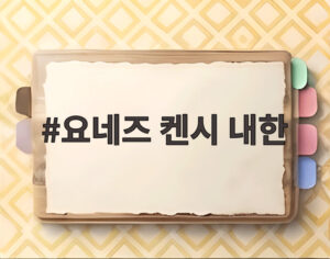 요네즈 켄시 내한