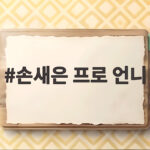 손새은 프로 언니