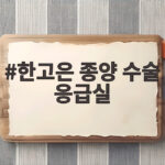 한고은 종양 수술 응급실