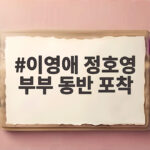 이영애 정호영 부부 동반 포착 모두가 놀란 동안 비주얼 이영애 정호영 부부 동반 포착