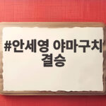 안세영 야마구치 결승