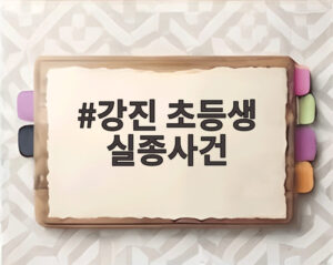 강진 초등생 실종사건