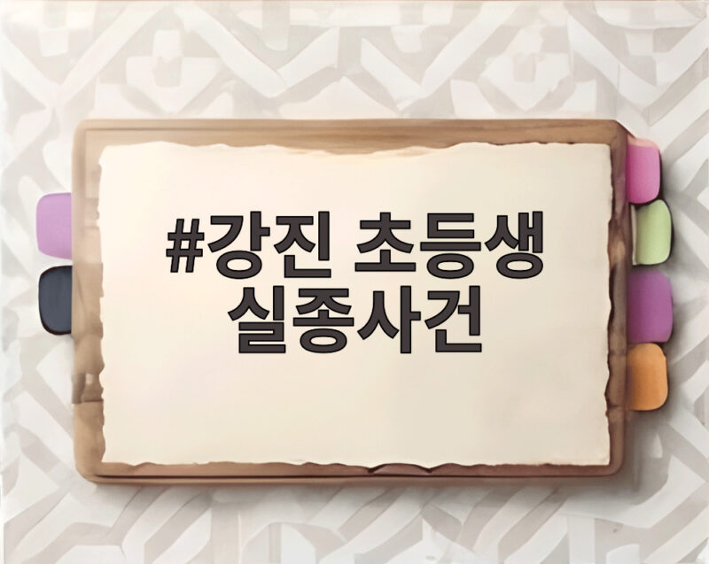 강진 초등생 실종사건