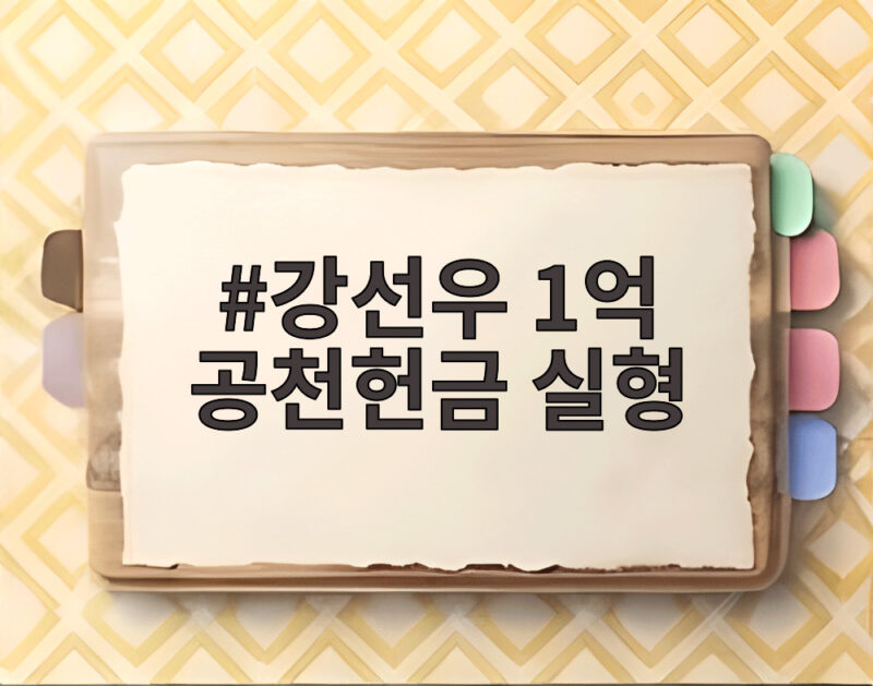 강선우 1억 공천헌금 실형 1심 선고와 법정구속 정리 1 강선우 1억 공천헌금 실형