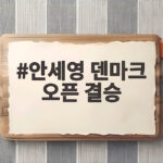 안세영 덴마크 오픈 결승 가시권 42연승 2연패 보인다 안세영 덴마크 오픈 결승