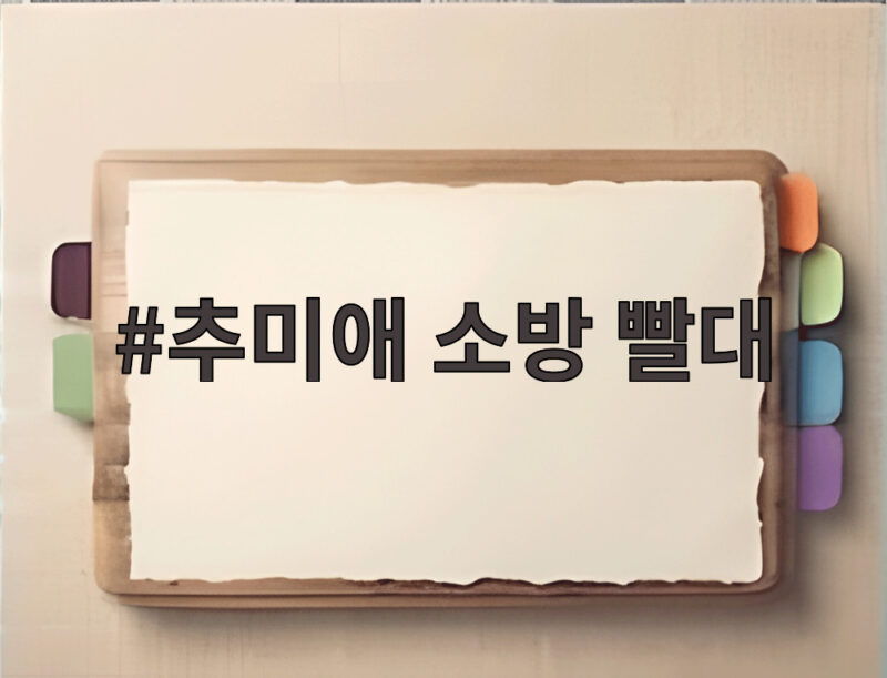 추미애 소방 빨대 발언 사과에도 남은 재정 구조 문제 1 추미애 소방 빨대