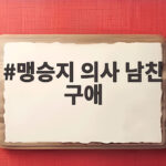 맹승지 의사 남친 구애 두 달 동안 안읽씹 고백 받고도 답하지 않았다 맹승지 의사 남친 구애
