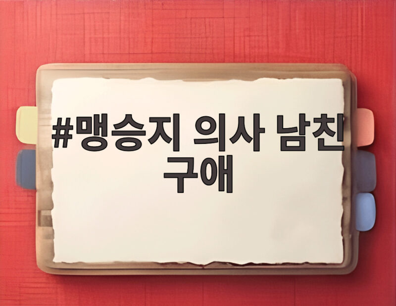 맹승지 의사 남친 구애
