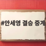 안세영 결승 중계로 보는 세계 1위의 압도적 기록과 전망 안세영 결승 중계