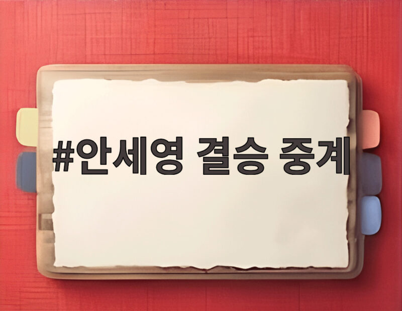 안세영 결승 중계