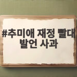 추미애 재정 빨대 발언 사과 소방관을 향한 진심은 추미애 재정 빨대 발언 사과