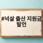 넉살 출산 지원금 발언 두 아이 아빠가 말하는 진짜 육아 지원 넉살 출산 지원금 발언