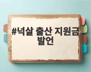 넉살 출산 지원금 발언