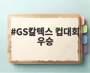 GS칼텍스 컵대회 우승
