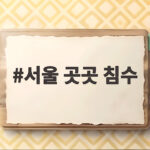 서울 곳곳 침수