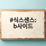 식스센스 비사이드 효연 유리 스타병 폭로와 군고구마통 바비큐 추리 식스센스: b사이드