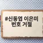 신동엽 이은미 번호 거절 당한 과거 미우새에서 밝혀진 반전 인연 신동엽 이은미 번호 거절