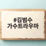 김범수 가수트라우마