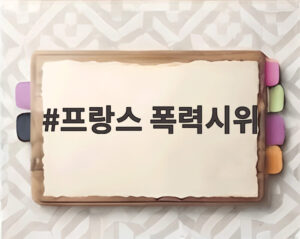 프랑스 폭력시위
