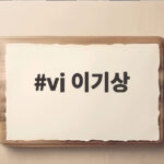 vj 이기상