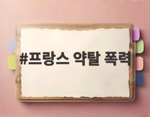프랑스 약탈 폭력