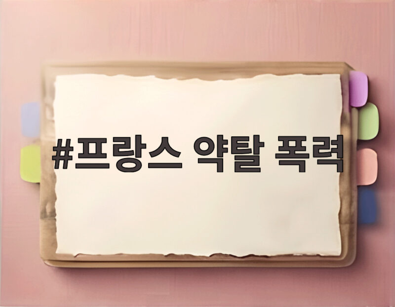 프랑스 약탈 폭력