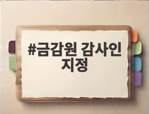 금감원 감사인 지정