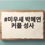 미우새 박혜연 커플 성사 반전 선택 모두가 놀랐다 미우새 박혜연 커플 성사