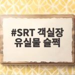 SRT 객실장 유실물 슬쩍