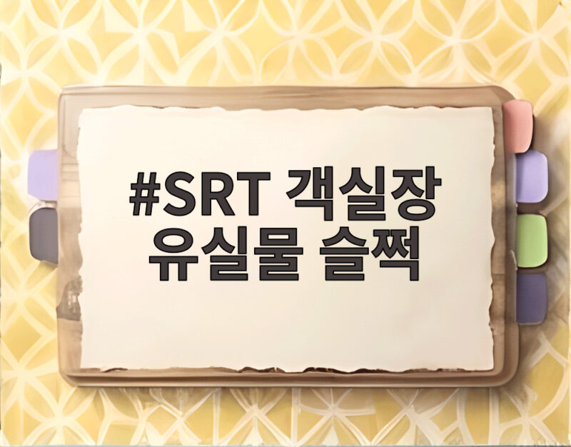 SRT 객실장 유실물 슬쩍