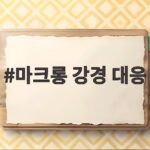 마크롱 강경 대응 프랑스 대규모 시위 약탈 사태 전망과 남은 과제 마크롱 강경 대응