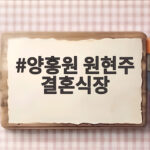 양홍원 원현주 결혼식장 그랜드힐컨벤션에서 올린 8년 결실 양홍원 원현주 결혼식장