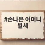 손나은 어머니 별세 소식과 이어진 따뜻한 효심 이야기 손나은 어머니 별세