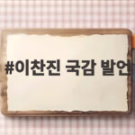 이찬진 국감 발언 금융 보안 AI 대응 총정리 이찬진 국감 발언